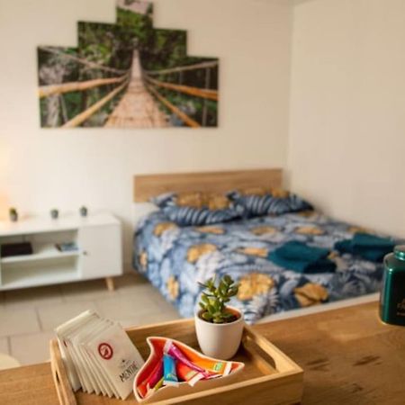 Studio Cosy Tv Wifi Confortable Et Chaleureux Gaillon Εξωτερικό φωτογραφία