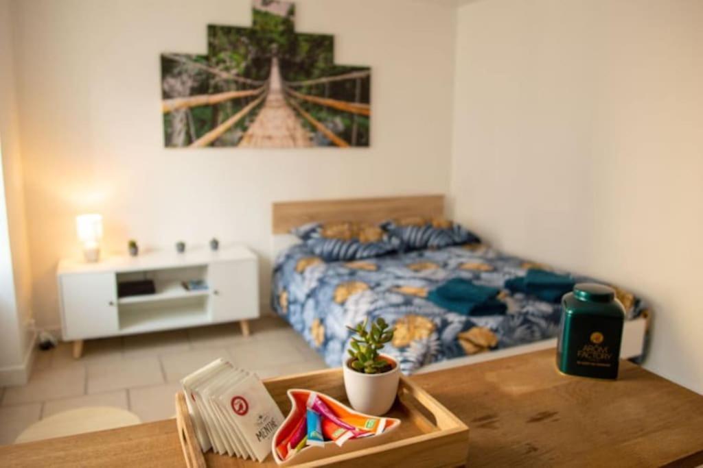 Studio Cosy Tv Wifi Confortable Et Chaleureux Gaillon Εξωτερικό φωτογραφία